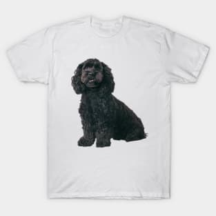 Cockapoo Dog T-Shirt